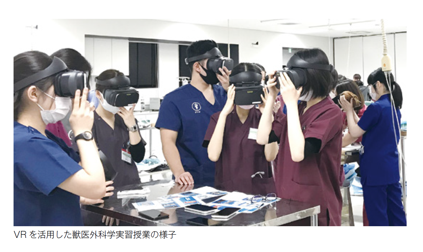 画像　VRを活用した獣医外科学実習授業の様子