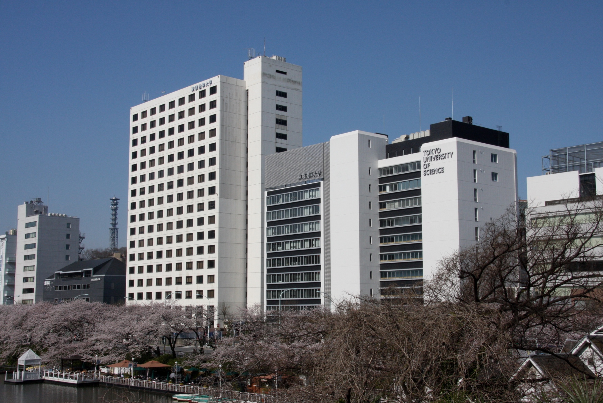 画像　東京理科大学キャンパス