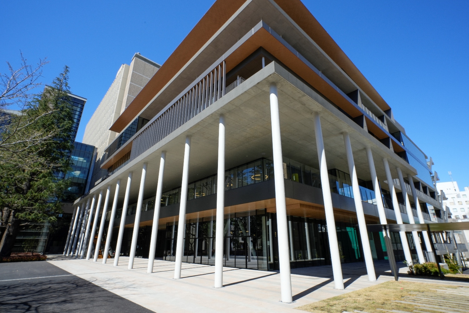 画像　青山学院大学マクレイ記念館　外観