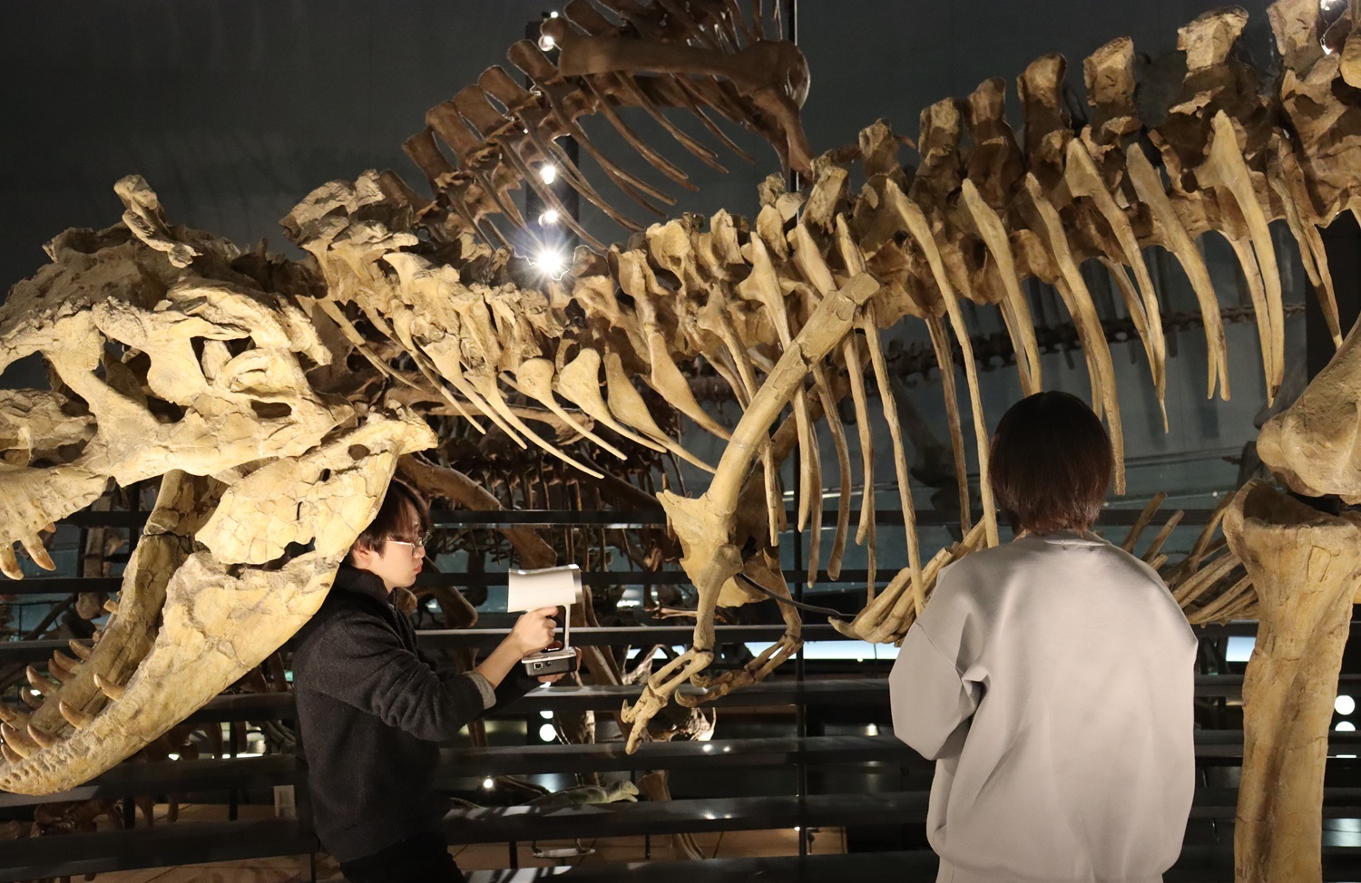 画像　福井県立大学　恐竜学部の科目「デジタル古生物学概論」の授業イメージ