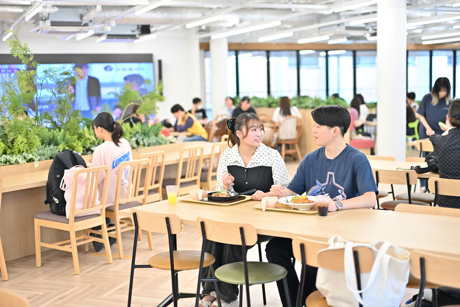 画像:京都橘大学/アカデミックテラス 6店舗が集う約350席のフードコート。多彩な座席配置と緑に囲まれた快適な空間が、学生の交流や新たなつながりを育む。