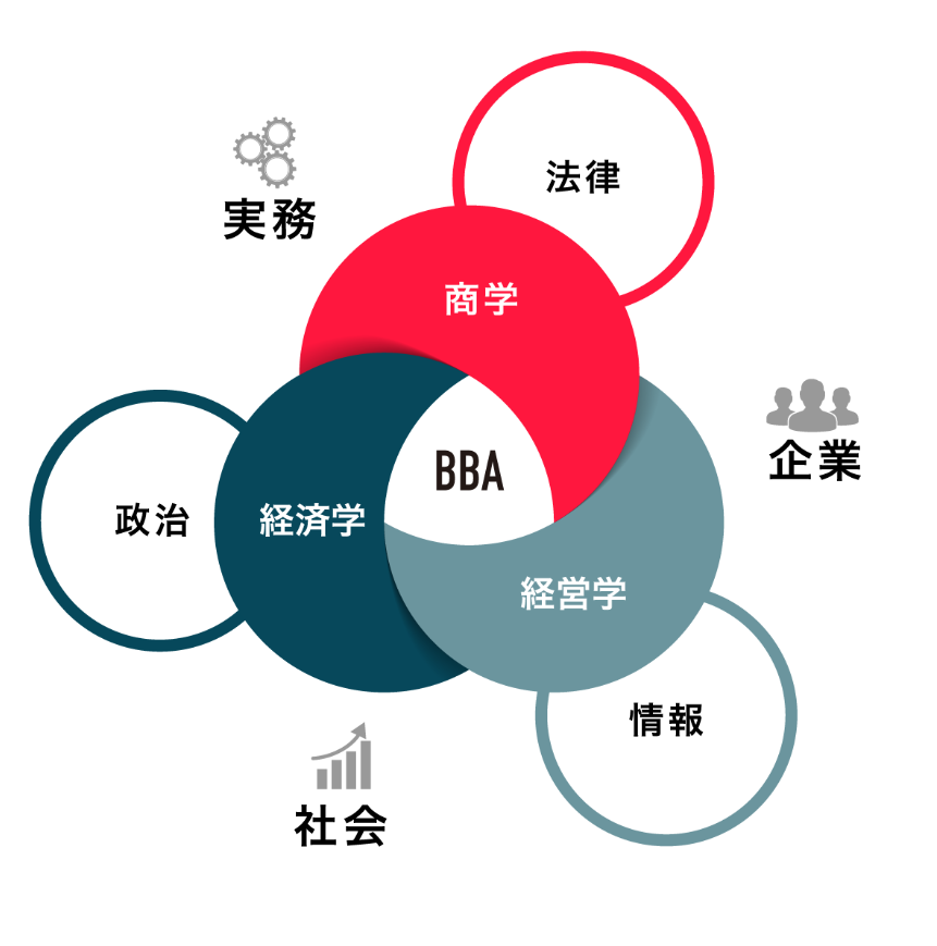 図1　BBAの概観