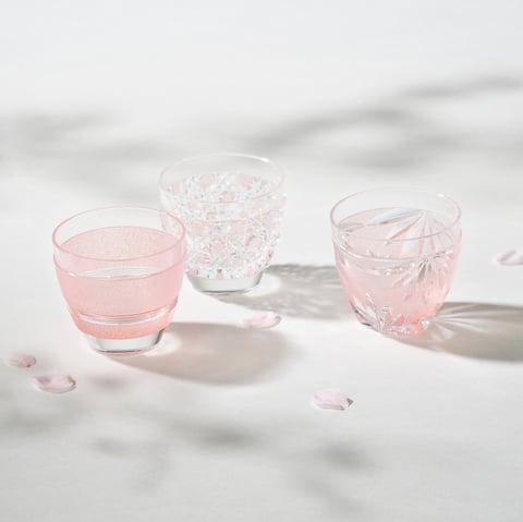 Vol.76 江戸切子職人／三澤世奈 | 高校 | リクルート進学総研